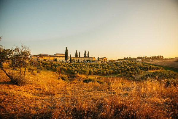 San Gimignano - Siena - Montalcino - Val d'Orcia - Montepulciano - Cortona - Arezzo - Valdarno - Firenze