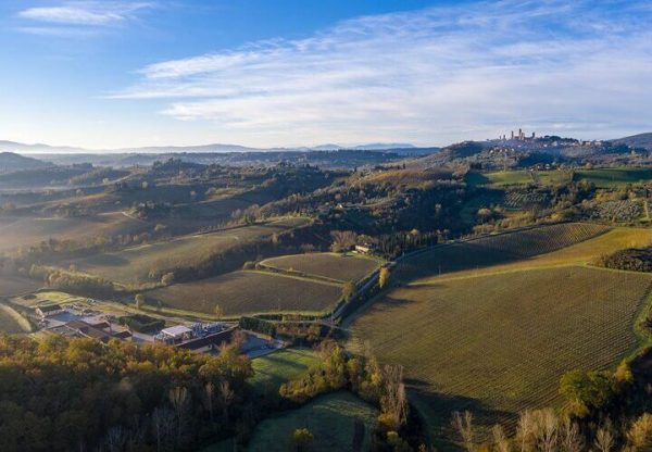Teruzzi Wine experience